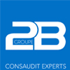 Logo consaudit groupe 2b